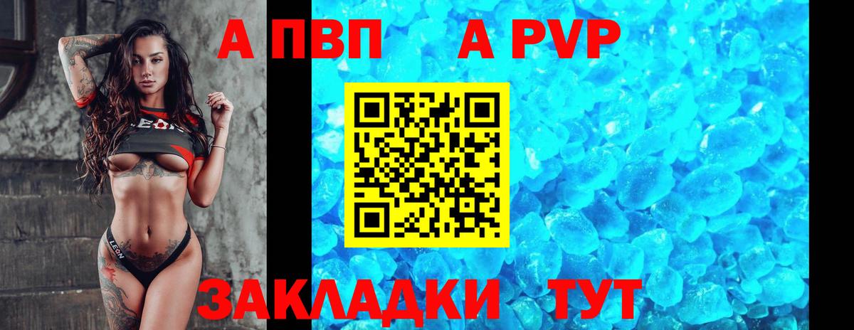 A-PVP СК Аргун