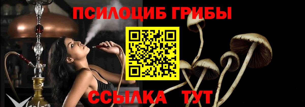 Галлюциногенные грибы Magic Shrooms  Вход с VPN  Аргун 